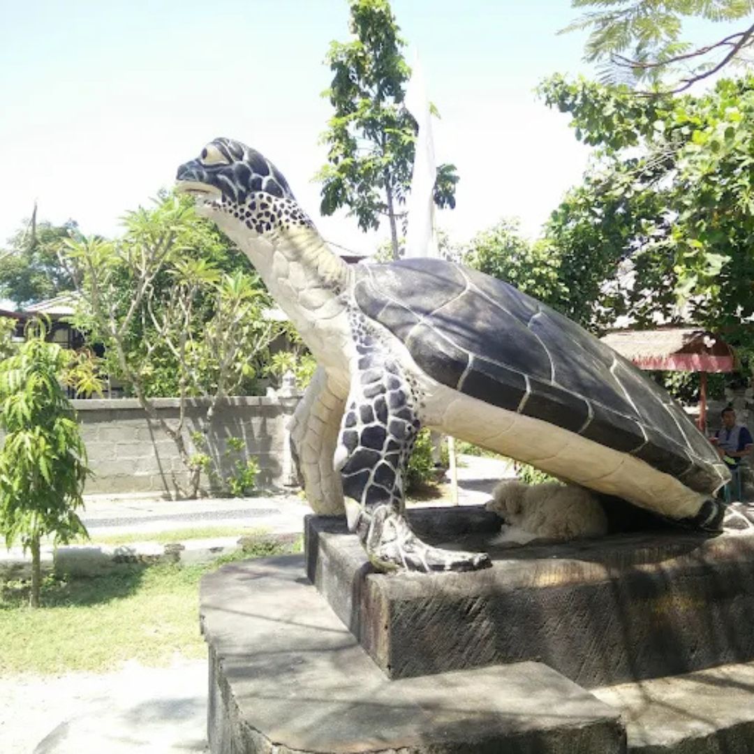 Turtle Conservation Centre