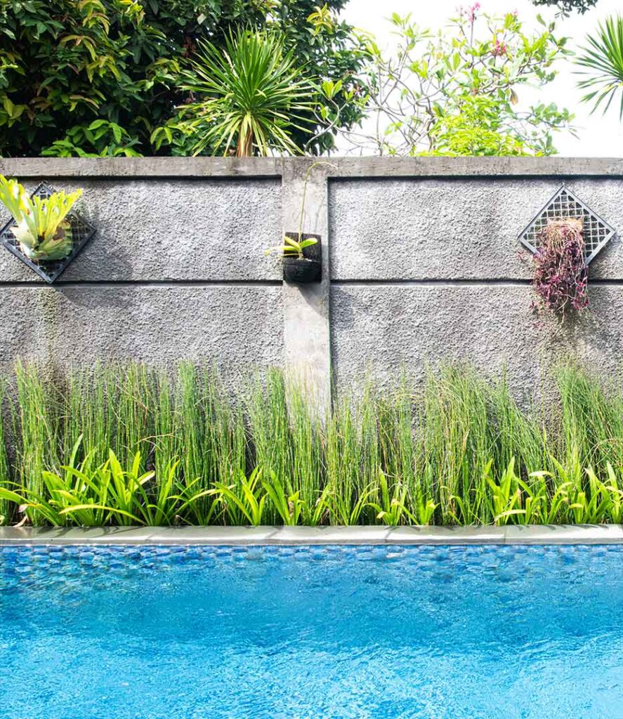 Shared Swimming Pool